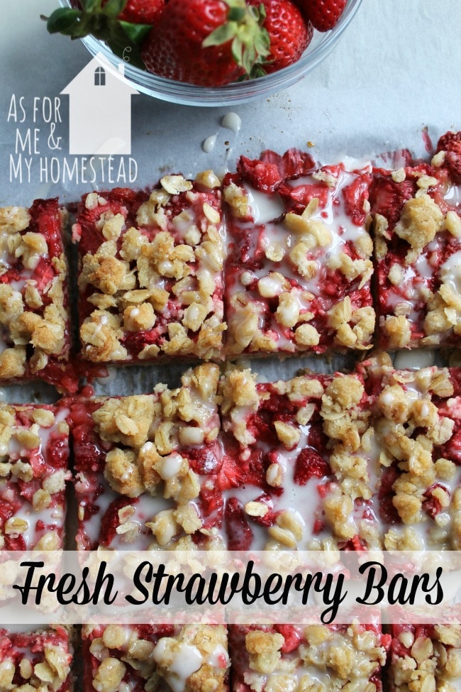 Packed with fruit, Fresh Strawberry Bars are a deliciously sweet recipe to enjoy. A crunchy oat crust combines with the sweet strawberries for perfection!