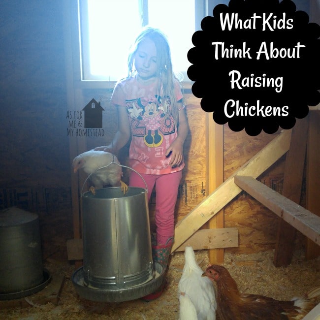 What Kids Think About Raising Chickens- written by kids, for kids