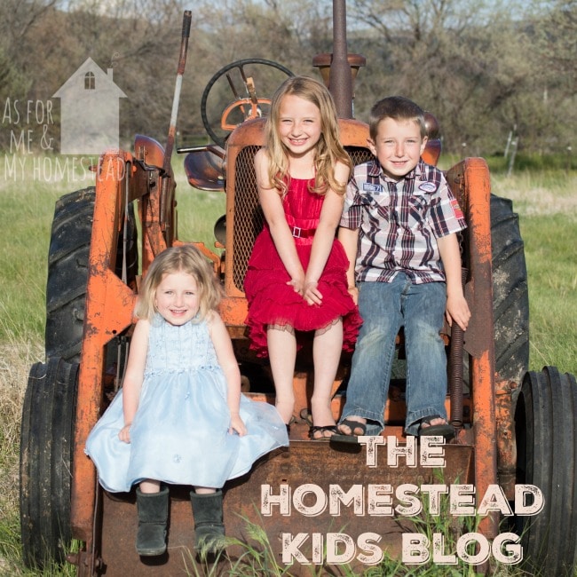 The Homestead Kids Blog is a brand new feature! Stop by on Saturdays or click through to see what they're up to!