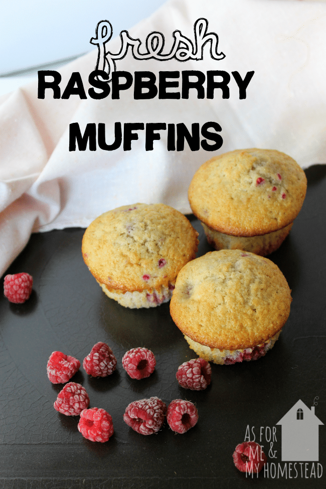 Delicious Fresh Raspberry Muffins recipe is packed full of raspberries!