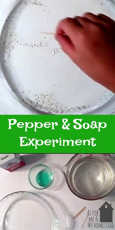 7 year old demonstrates the simple Pepper and Soap Experiment!