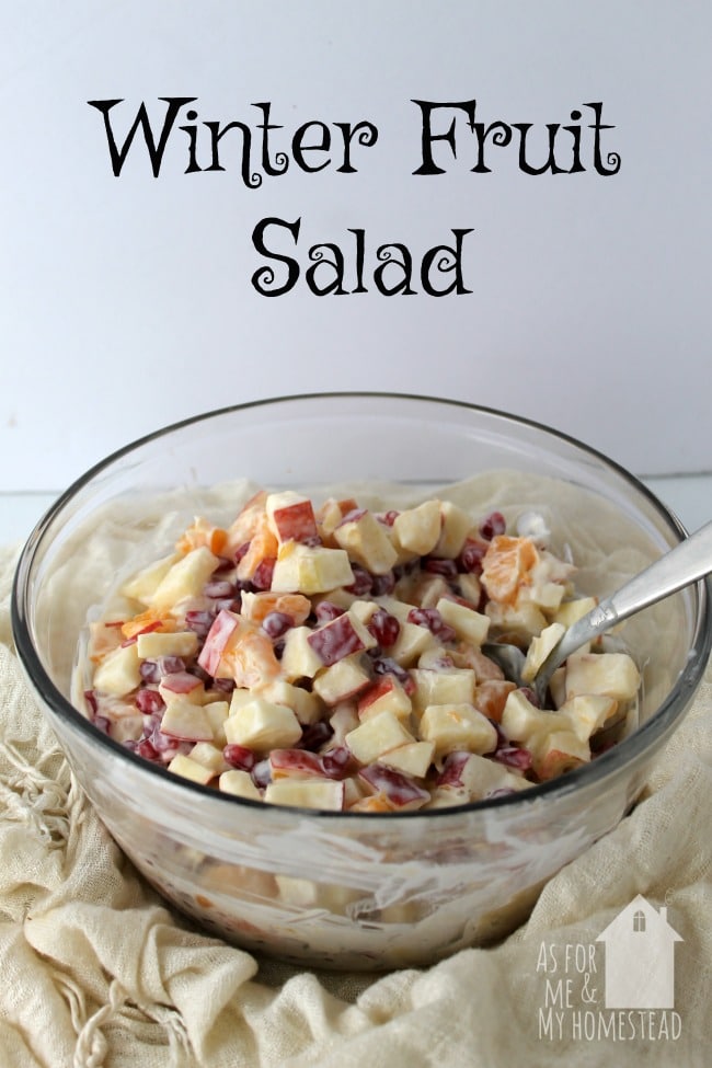 winter-fruit-salad-2
