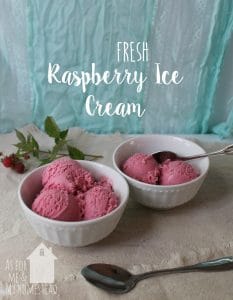 Fresh Raspberry Ice Cream