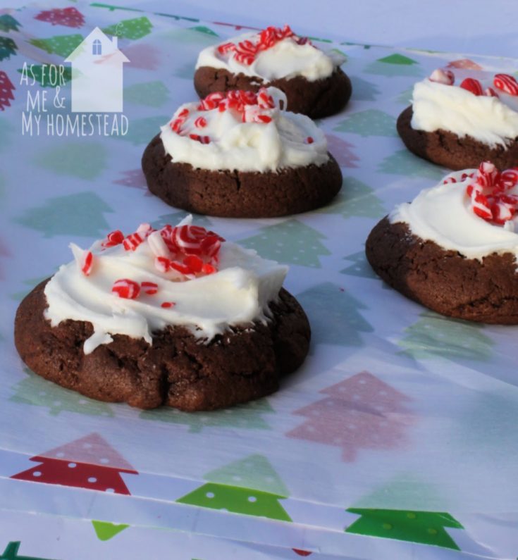 Chocolate Candy Cane Cookies with Peppermint Frosting