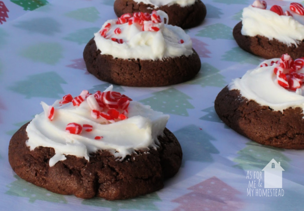 These Chocolate Candy Cane Cookies with Peppermint Cream Cheese Frosting are perfect for your holiday gatherings, or even to give as a gift to your neighbors or coworkers. Simply whip up a batch, and place in a cute basket or tin, and you've got a great Christmas present!