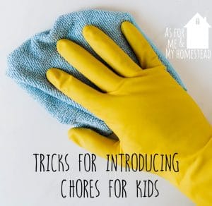 Introducing Chores for Kids