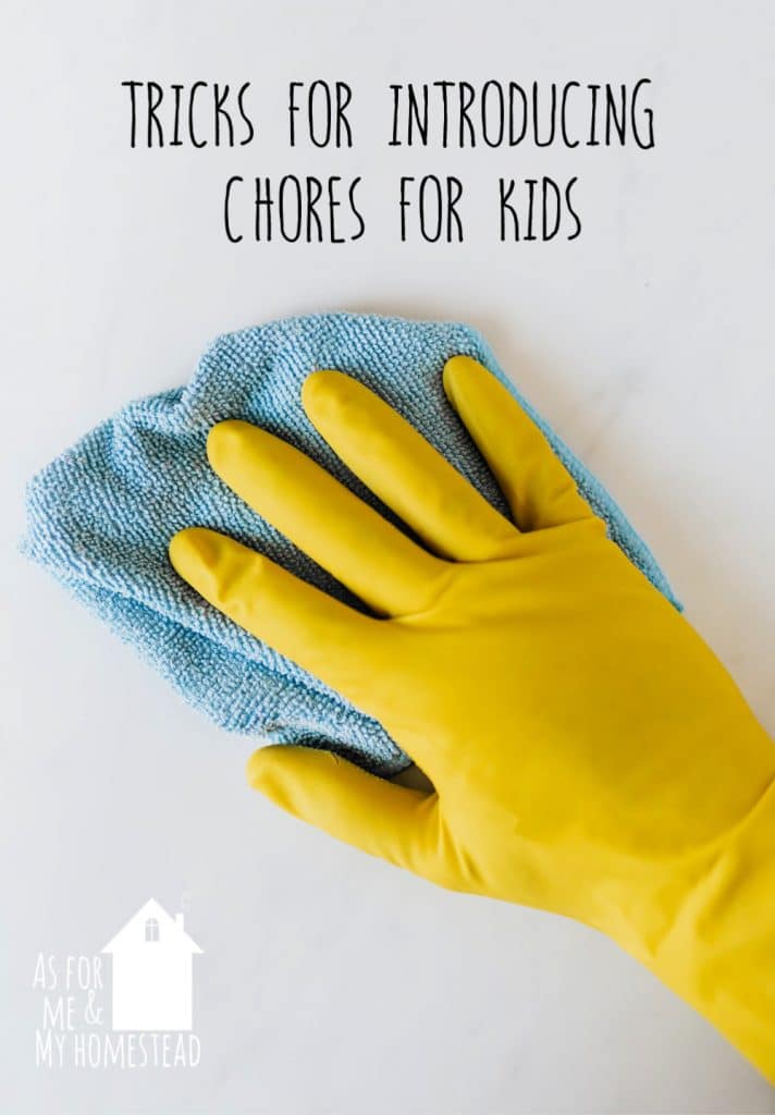 Children who regularly do chores at home are more responsible, have high self-esteem and are well-equipped to deal with adversity, frustration, and delayed gratification.  Find out tricks and tips that will help you in introducing chores for kids, so you can set your kids kids up for a responsible future!