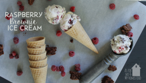 Raspberry Brownie Ice Cream
