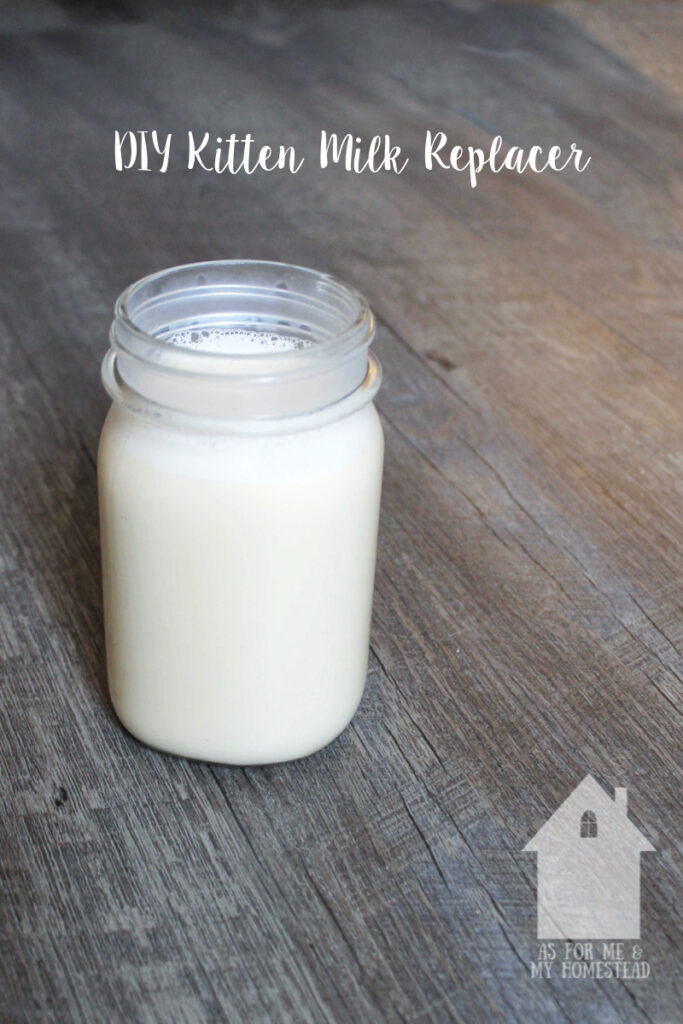 Mason jar full of creamy, white DIY Kitten Milk Replacer Recipe on a wood table